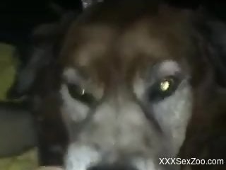Sexy dog sucking on a dude's hard dick in POV